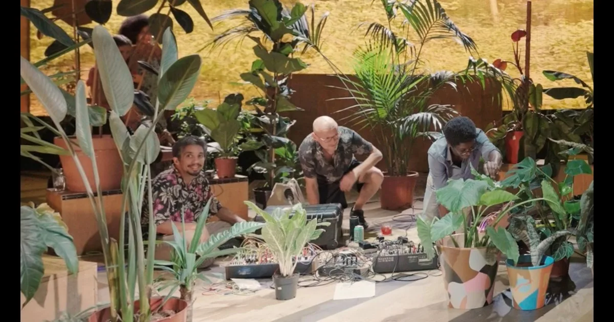 Sonica: Plants Can Dance - Brian d’Souza at Tramway
