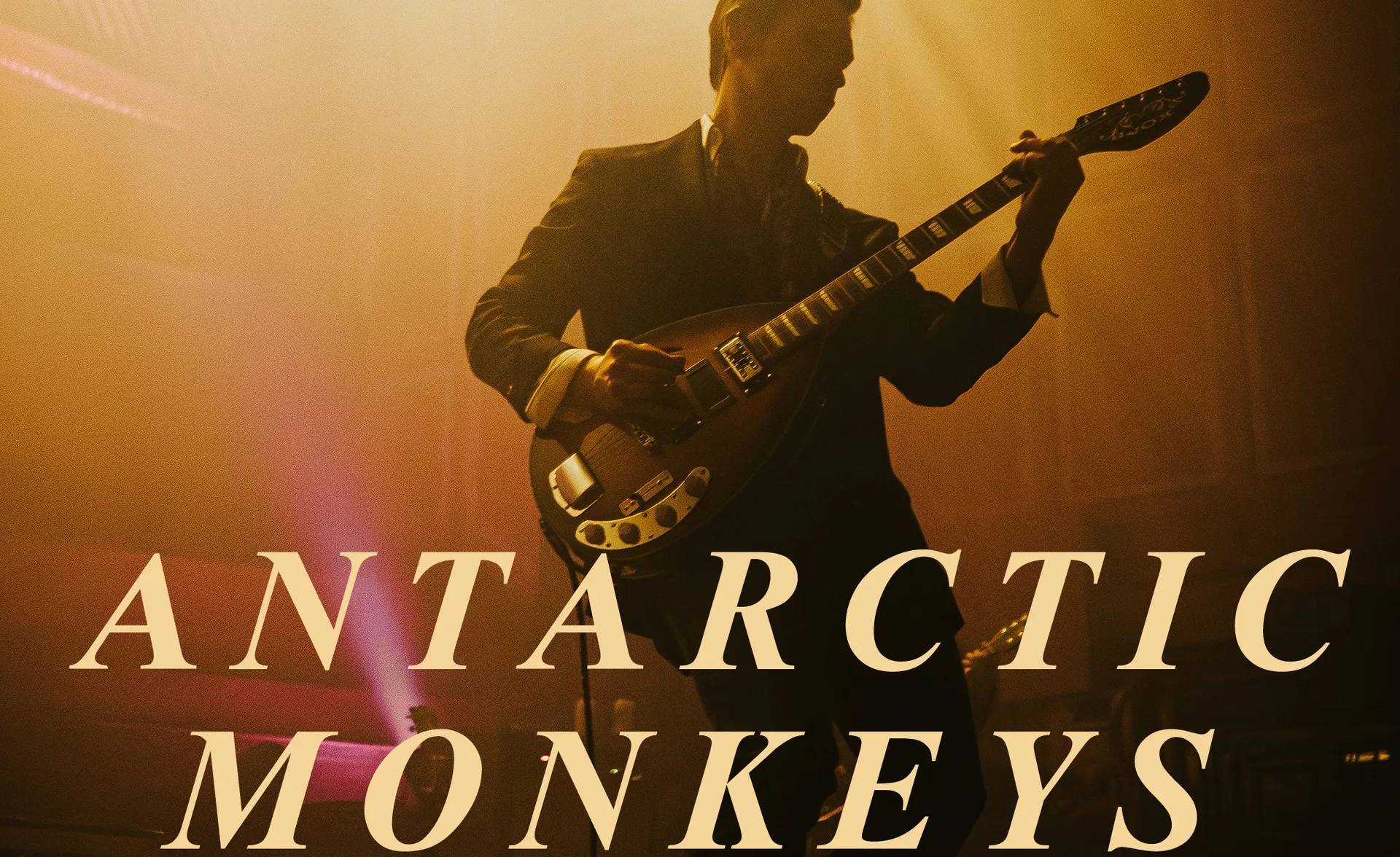 ANTARCTIC MONKEYS at The Welly