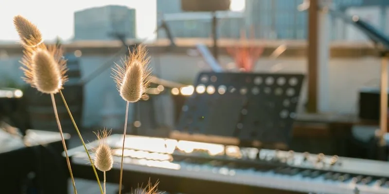 Jazz at Jacobs // Live music with the Jack Mac Quartet at Jacob's Rooftop