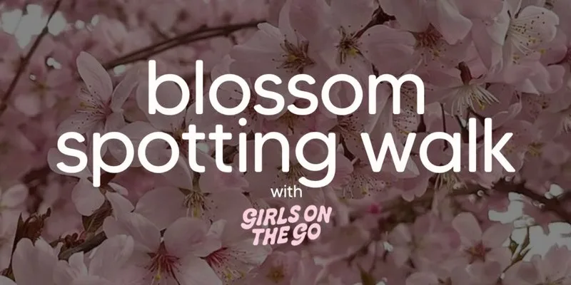 GOTG Summer Blossom Spotting Walk at 92 degrees john dalton street