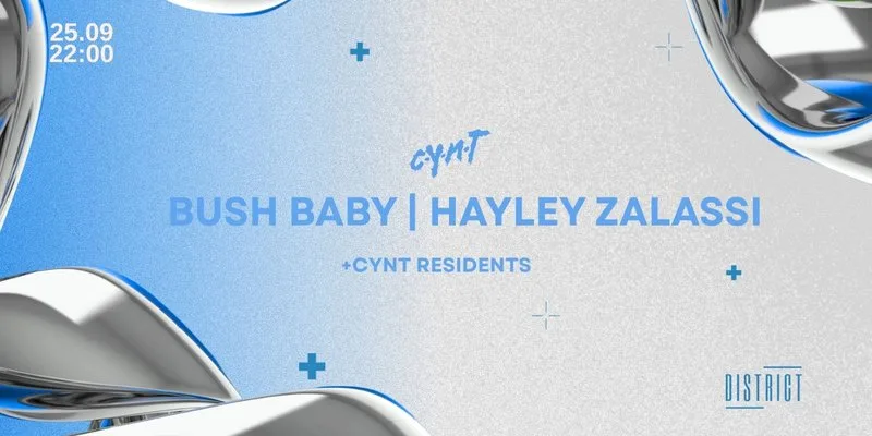 CYNT w/ Bushbaby , Hayley Zalassi + More