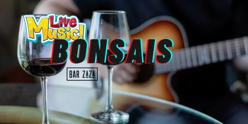 Bonsais at Bar ZaZa at Bar Zaza