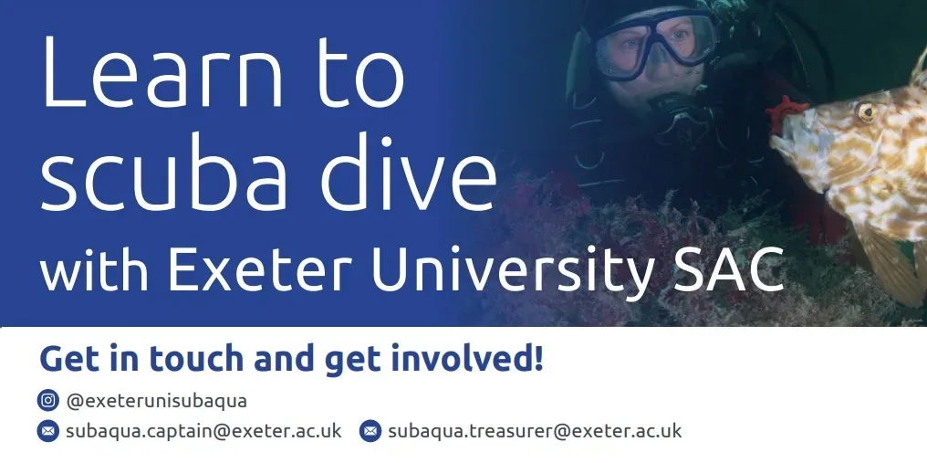 Term 1 Ocean Diver Training at Animal House