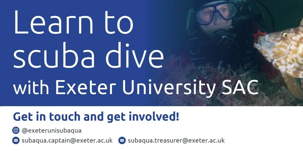 Term 1 Sports Diver Training