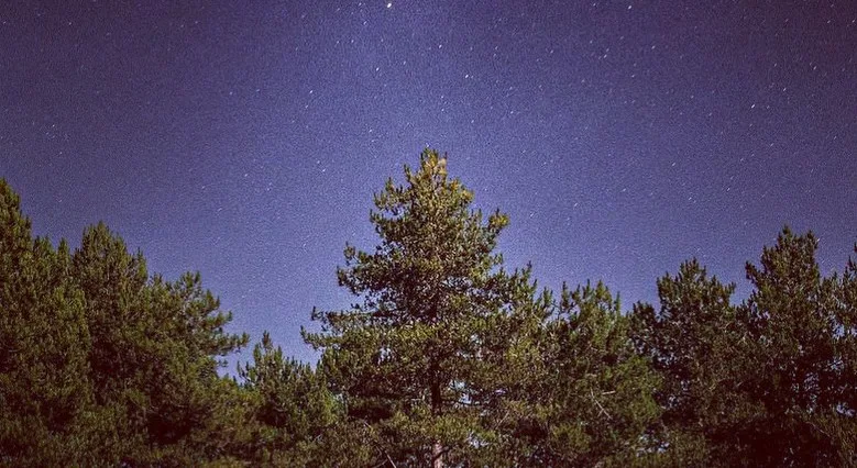Full Moon Sauna