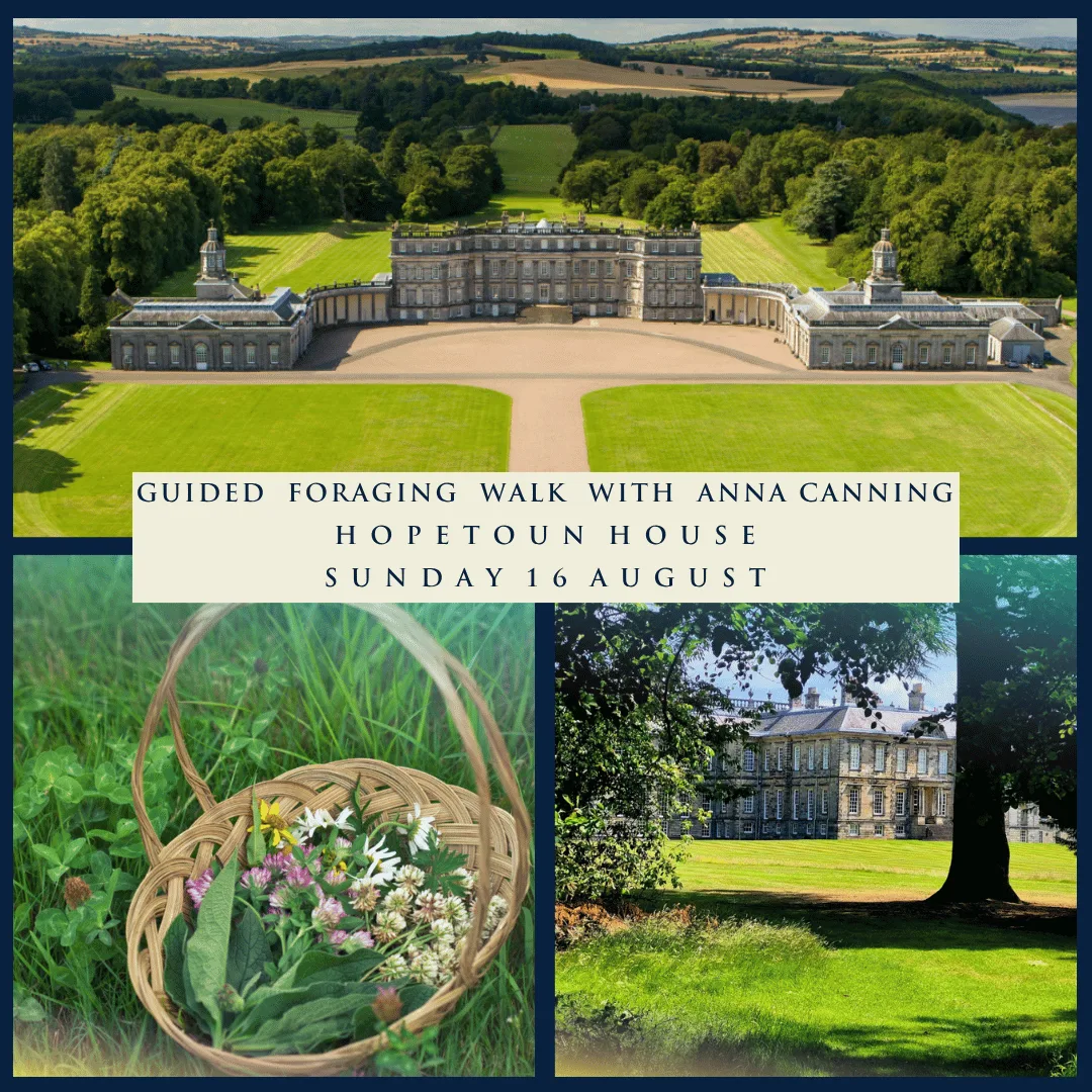 Guided Foraging Walk with Anna Canning ** Sold Out** at Hopetoun House