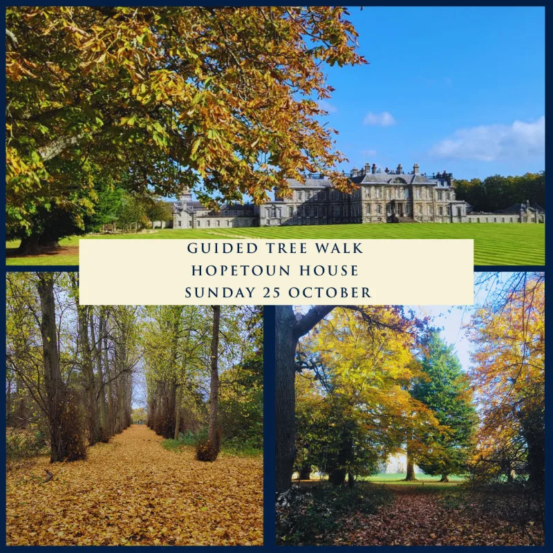 Guided Tree Walk