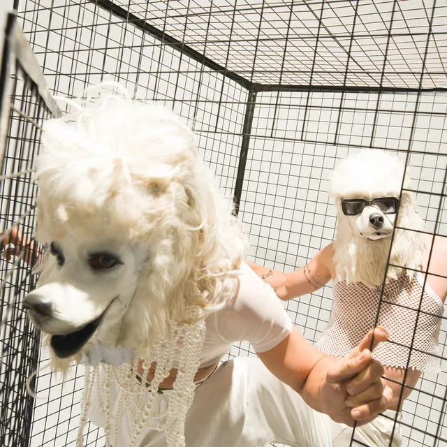 DOGSHOW at Village Underground