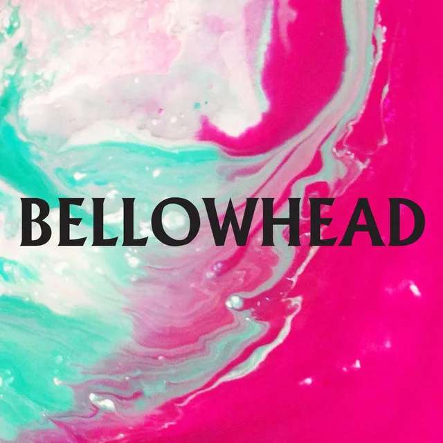 Bellowhead at New Theatre Oxford
