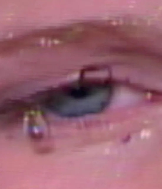 lilyisthatyou