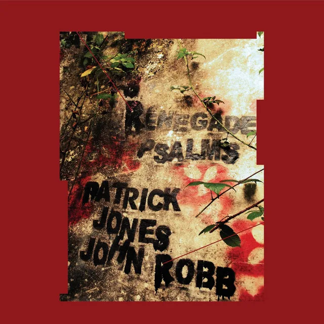 John Robb