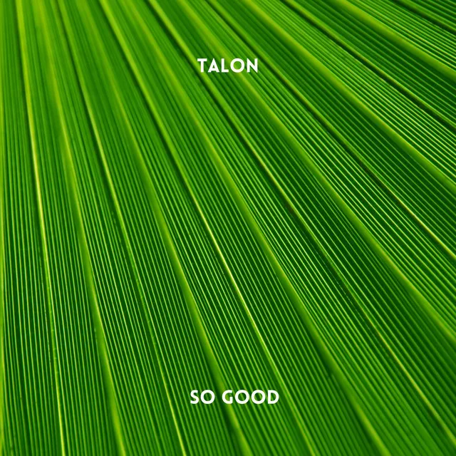 Talon