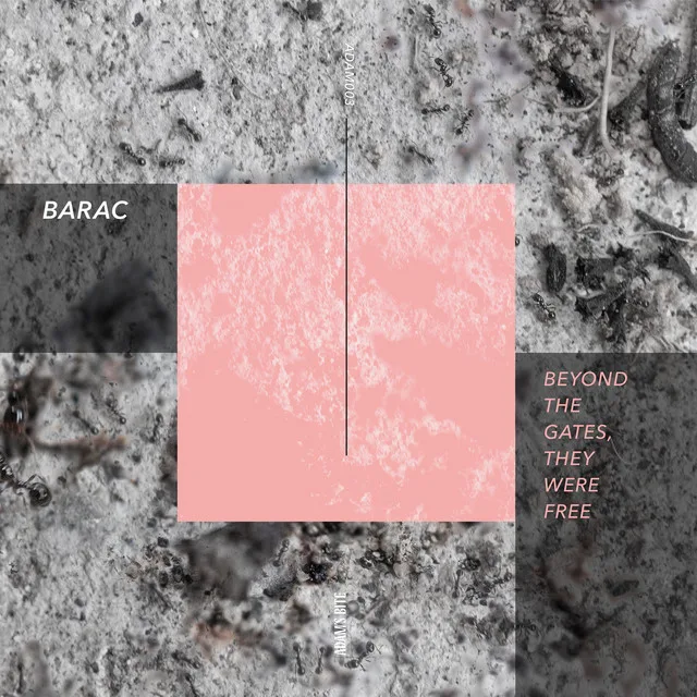 XTD - 012 - Barac
