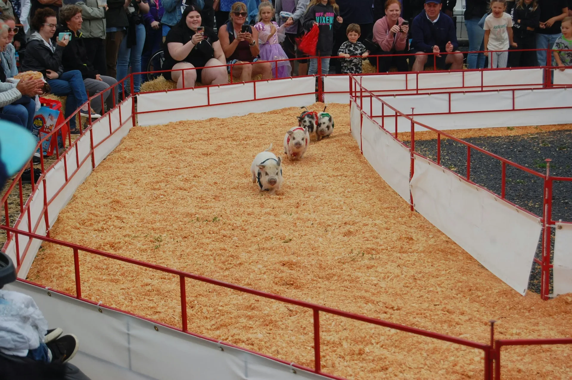 Strokestown Agricultural & Industrial Show 2026 — Family Day Out in Roscommon at Strokestown Show Grounds