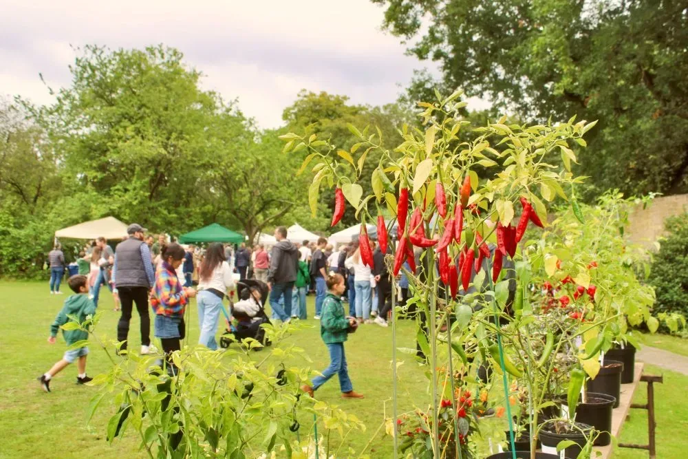 Chilli Fest at Fulham Palace at Fulham Palace