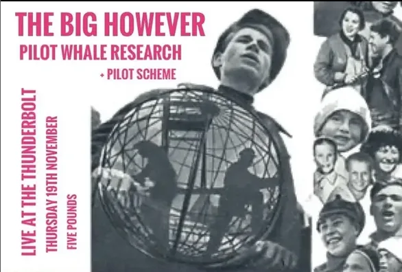 THE BIG HOWEVER + Pilot Whale Research + Pilot Scheme at The Thunderbolt