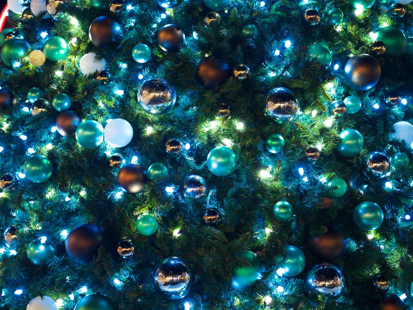 Christmas Rocks - Day 3 at O2 City Hall Newcastle