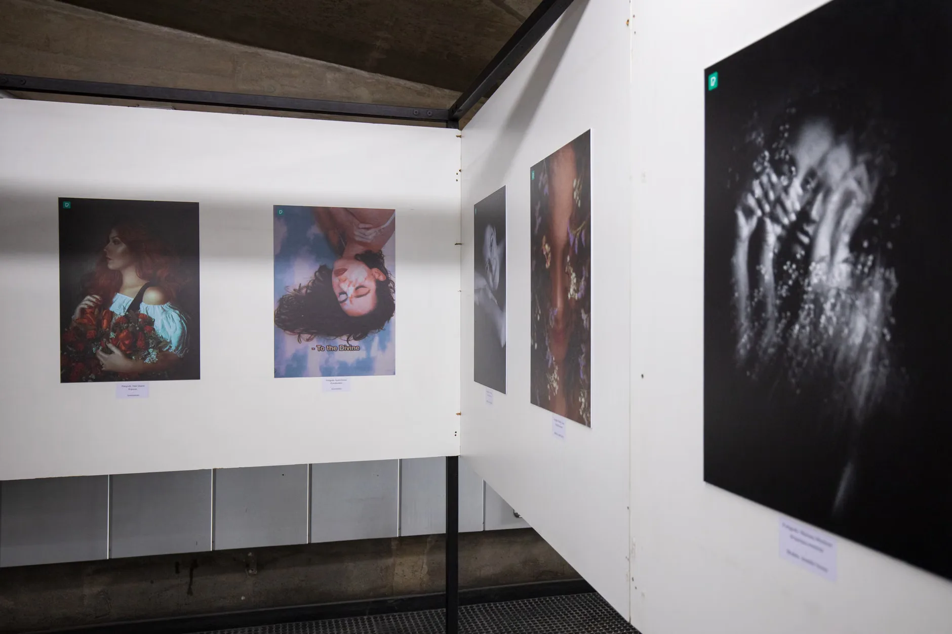 North East Festival of Blossom 2026: Blossom Through a Wearside Lens photography exhibition at Washington Old Hall
