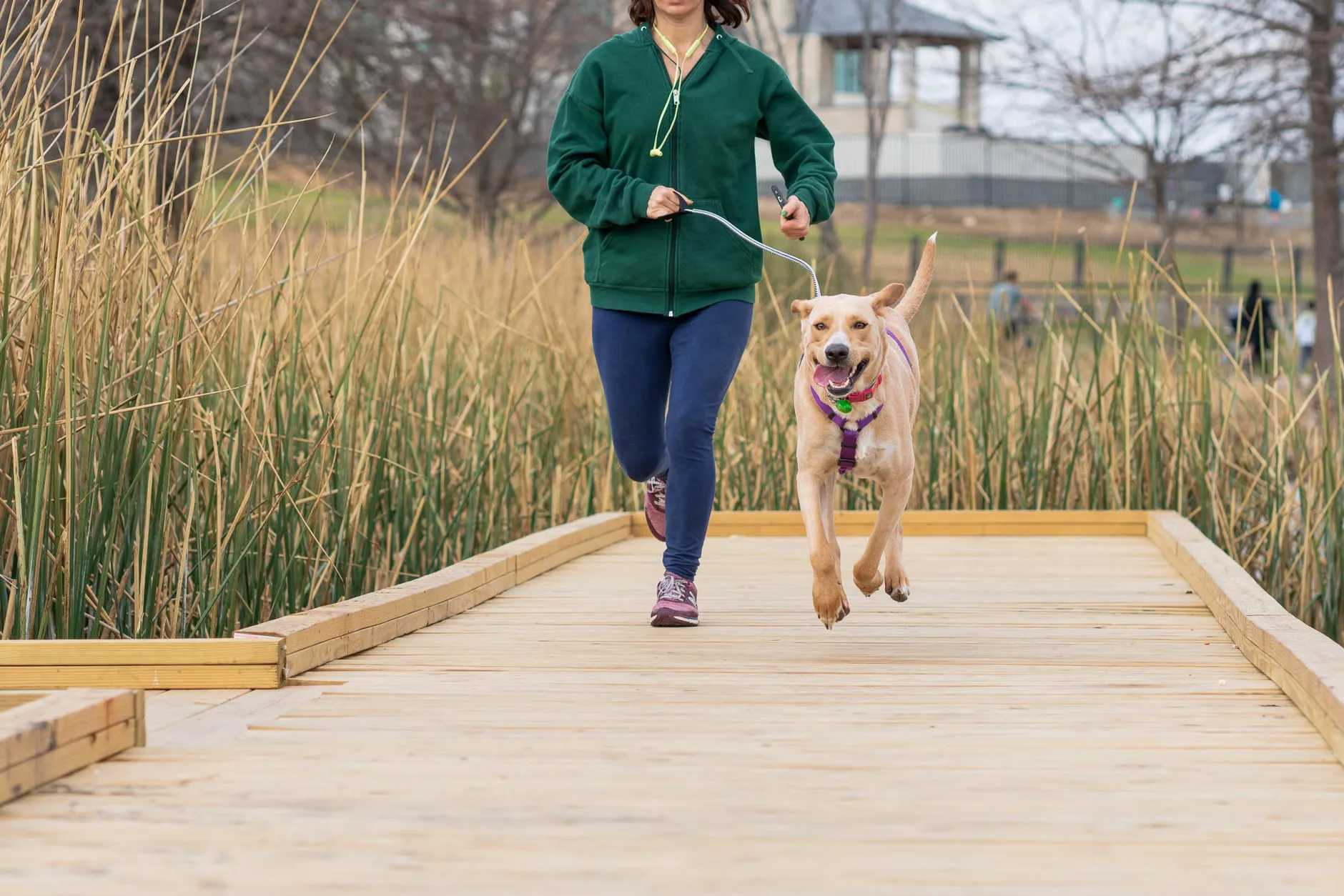 Trails and Tails 4 mile & 8 mile at Field House Farm