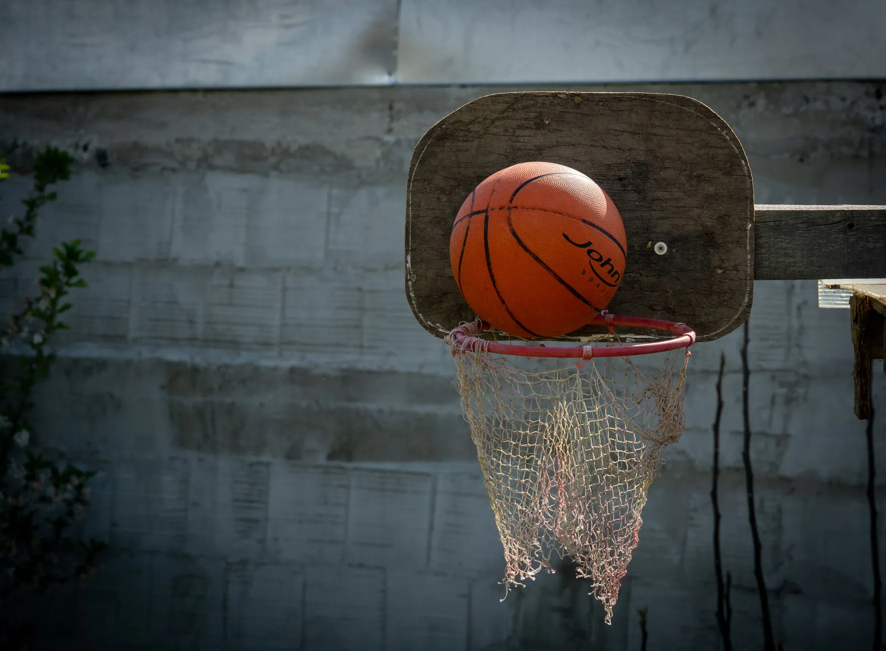 Disability Basketball Juv