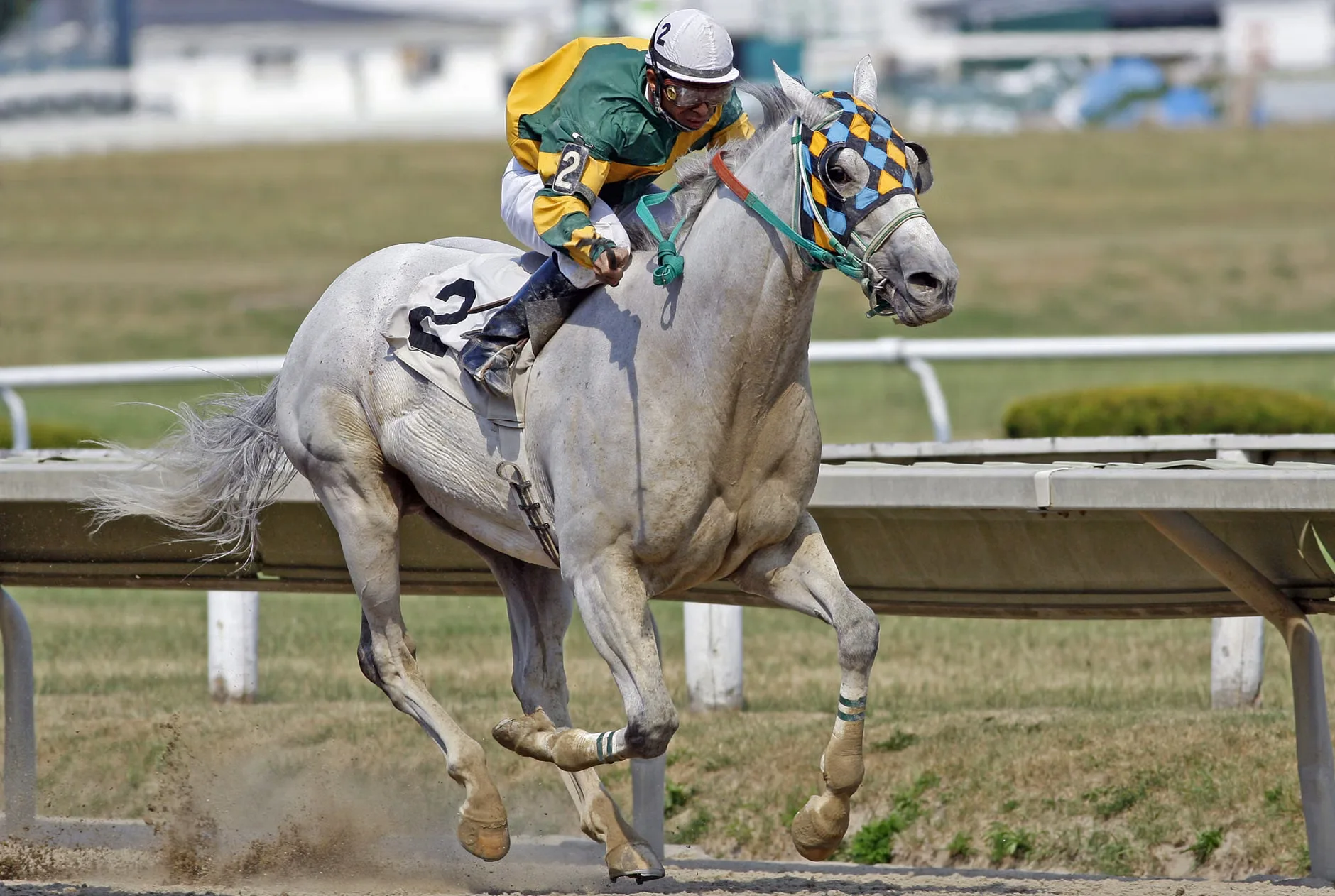 Race Meeting