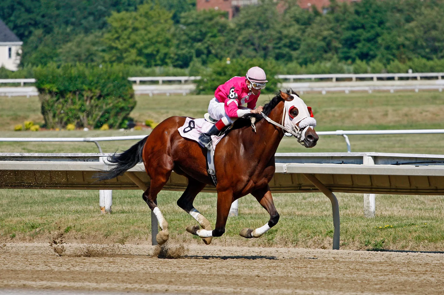 Autumn Jumps - Sedgefield Racecourse at Sedgefield Racecourse