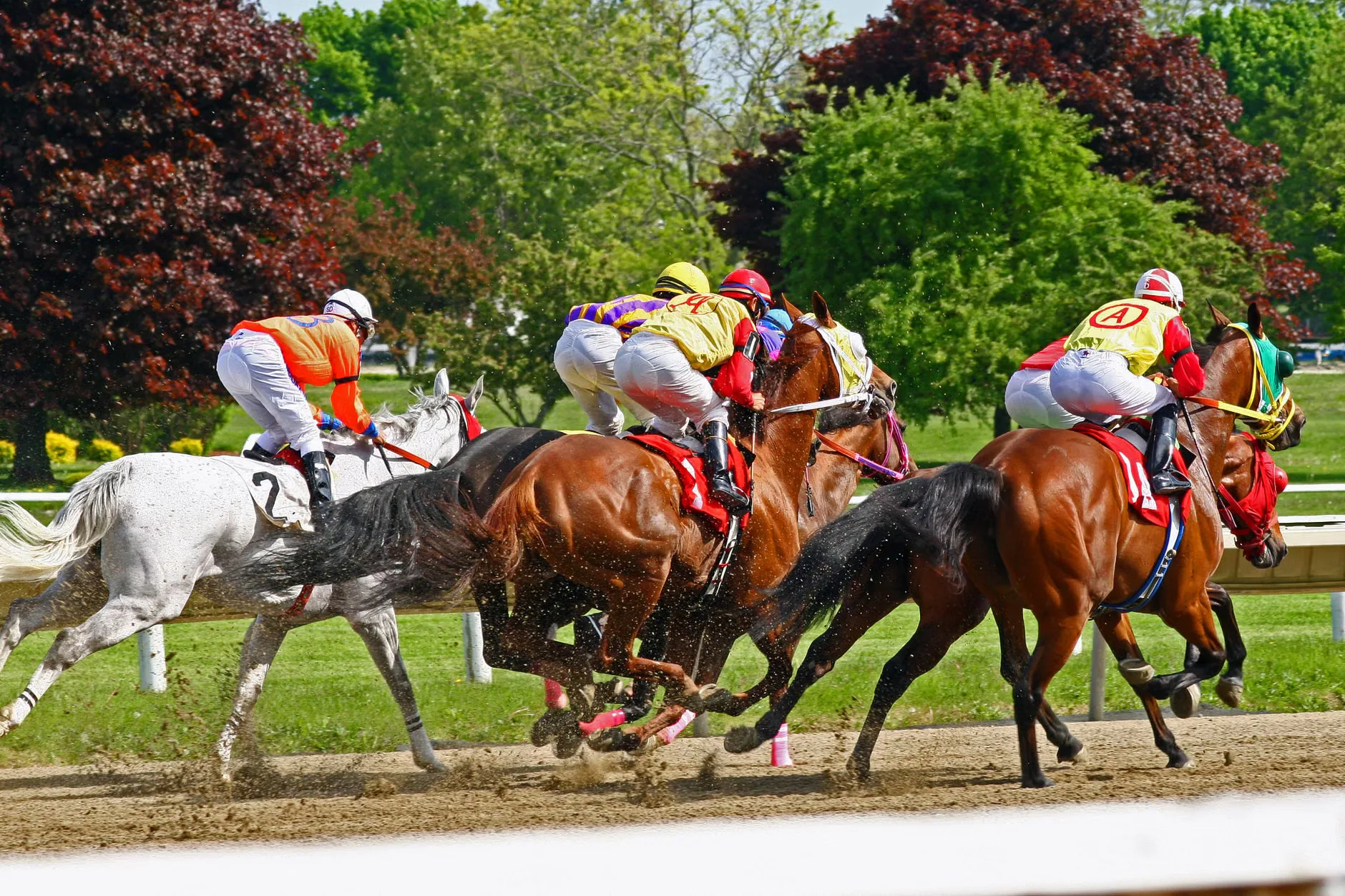 Autumn Festival | Saturday - Chester Racecourse at Chester Racecourse