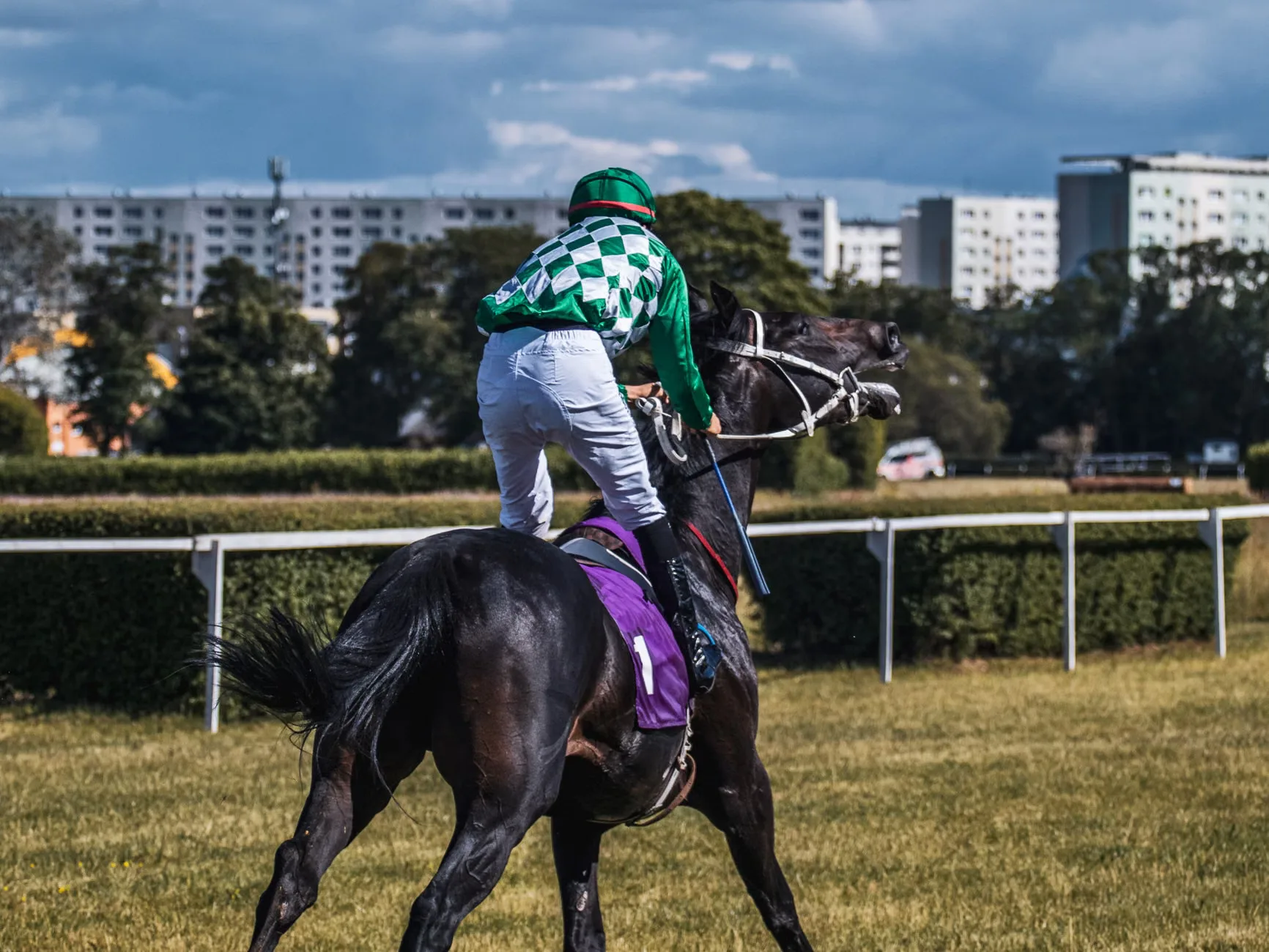 Summer Fun At The Races - Ffos Las Racecourse at Ffos Las Racecourse