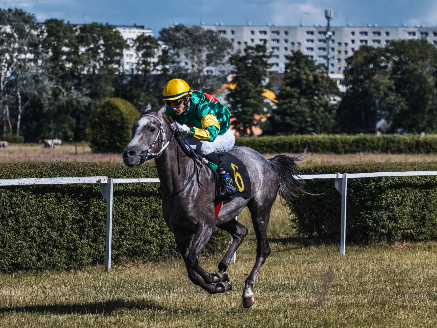 Betway Rose of Lancaster Stakes - Ladies Day at Haydock Park