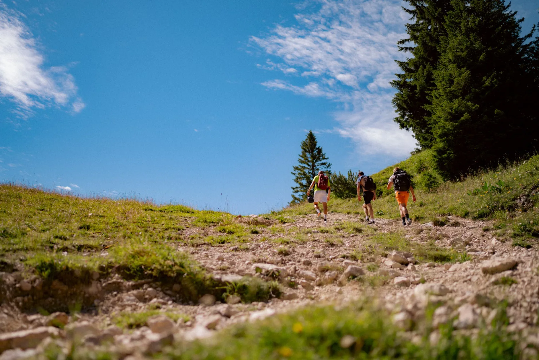 The 50th Bullock Smithy Hike / Ultra 56