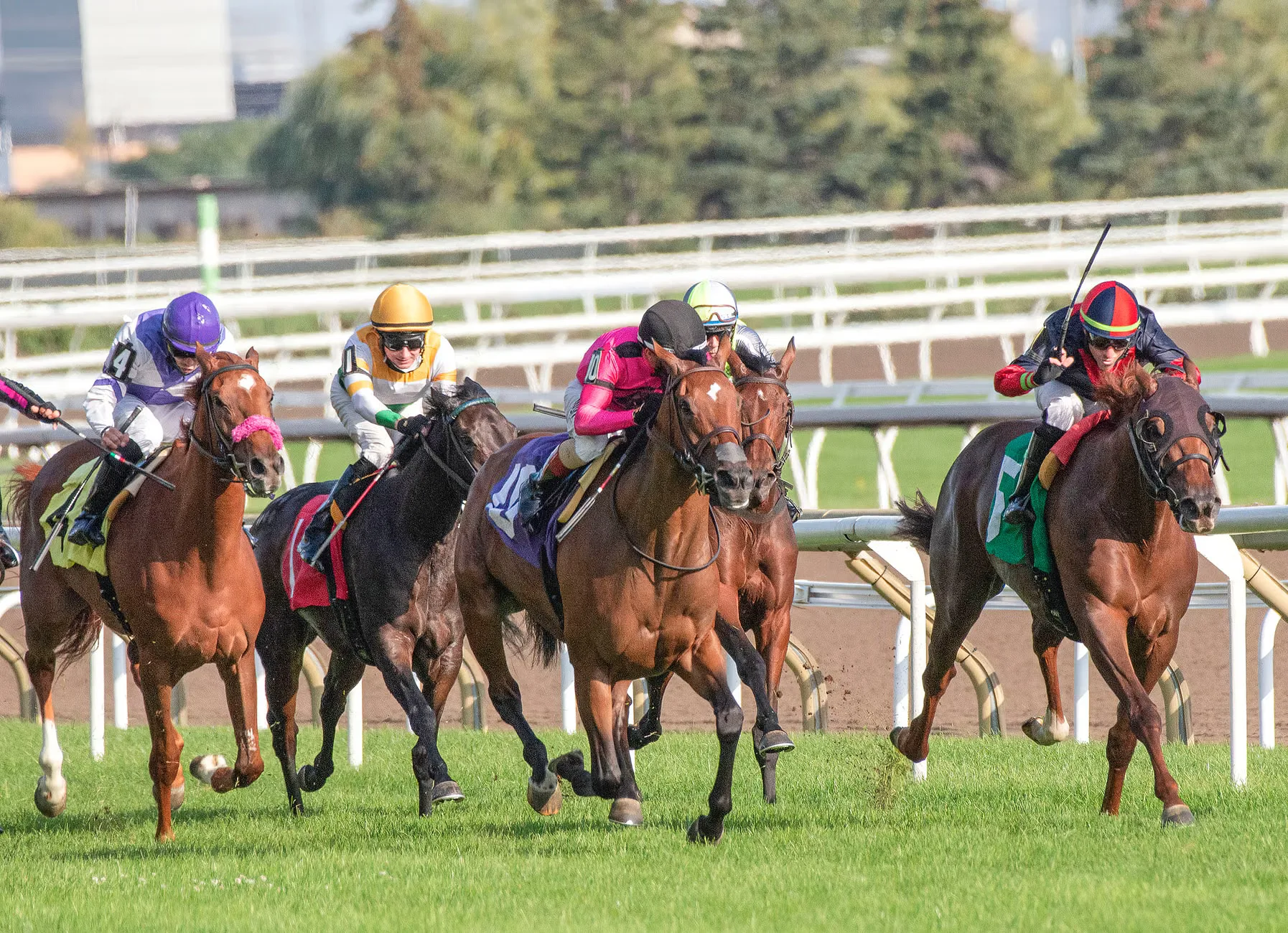 YorkMix Family Raceday at York Racecourse
