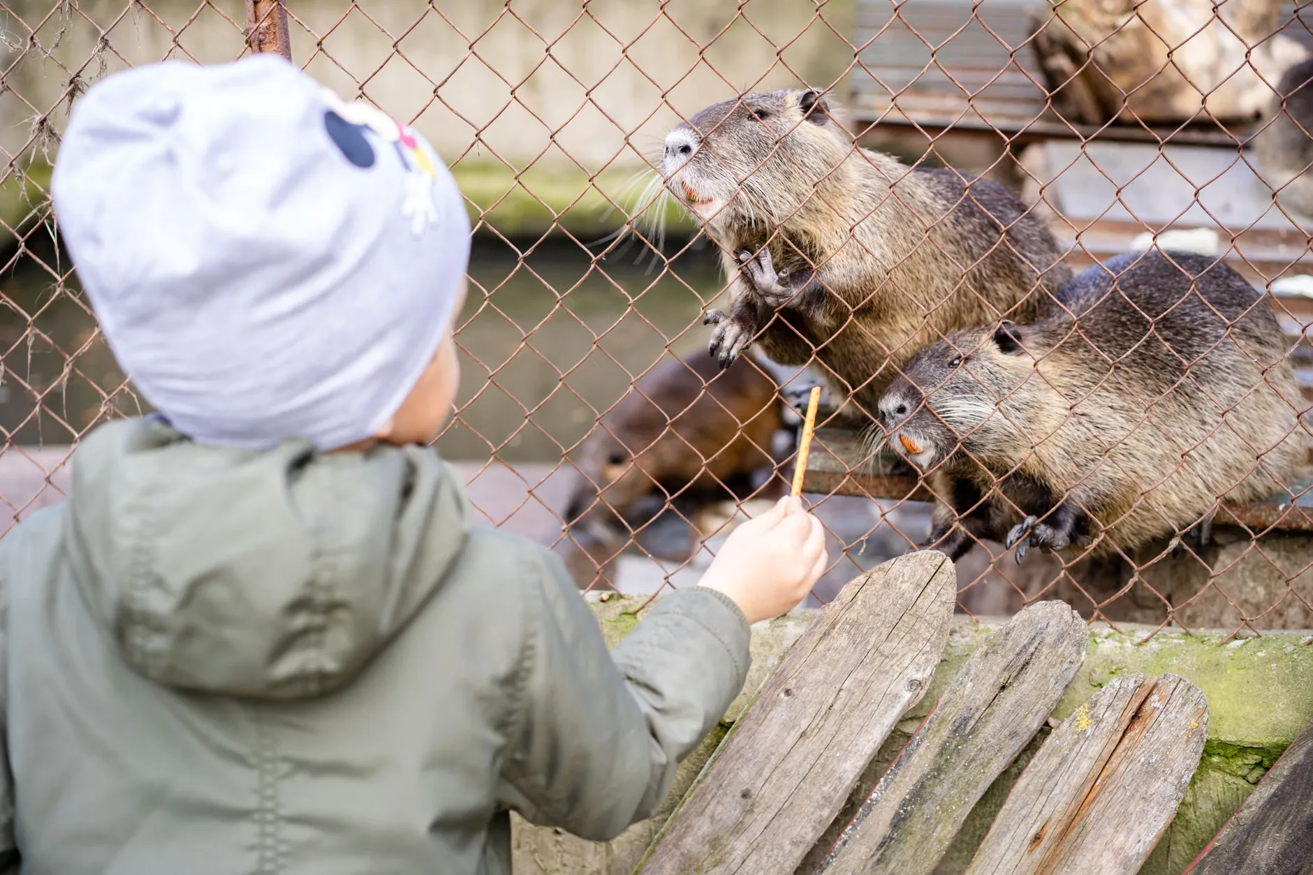 Woodland Play Sundays at Highbury Orchard