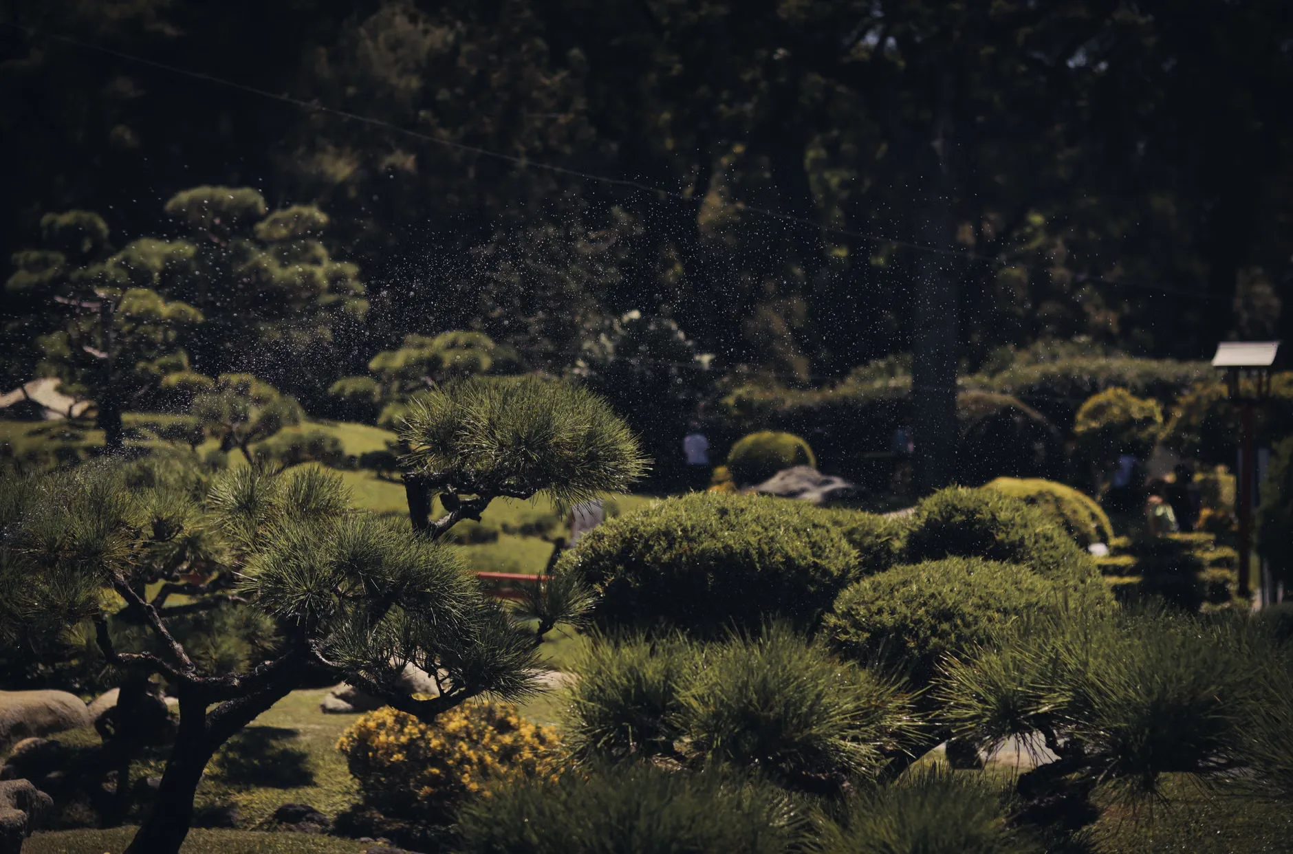 Garden Tour: Day in the Life of a National Trust Gardener at Shaw's Corner