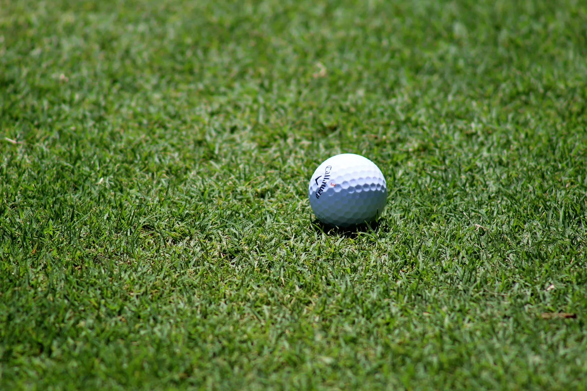 Celebrity Golf Classic: Royal Liverpool Golf Club, Hoylake at Royal Liverpool Golf Club