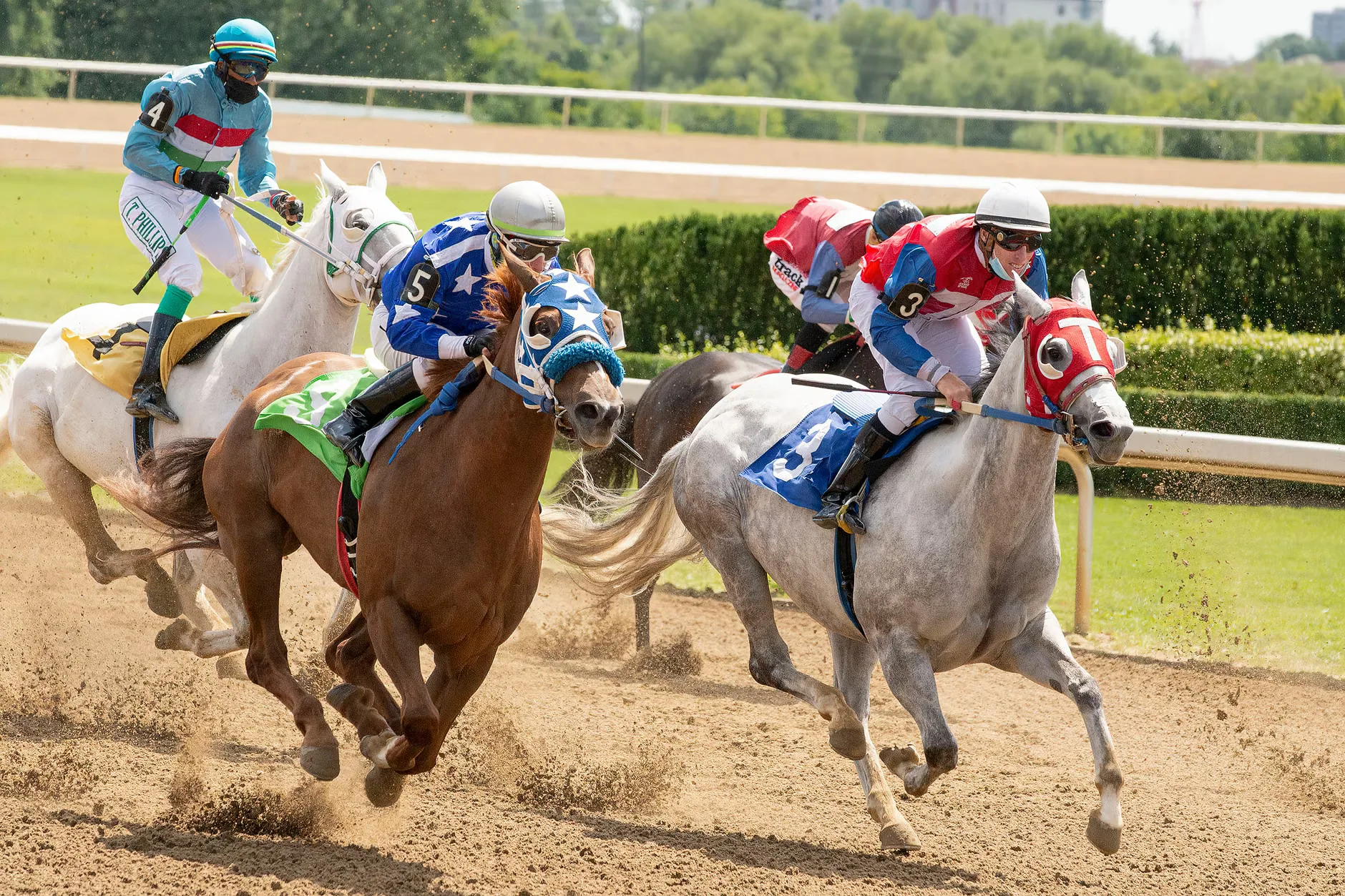 Race Meeting