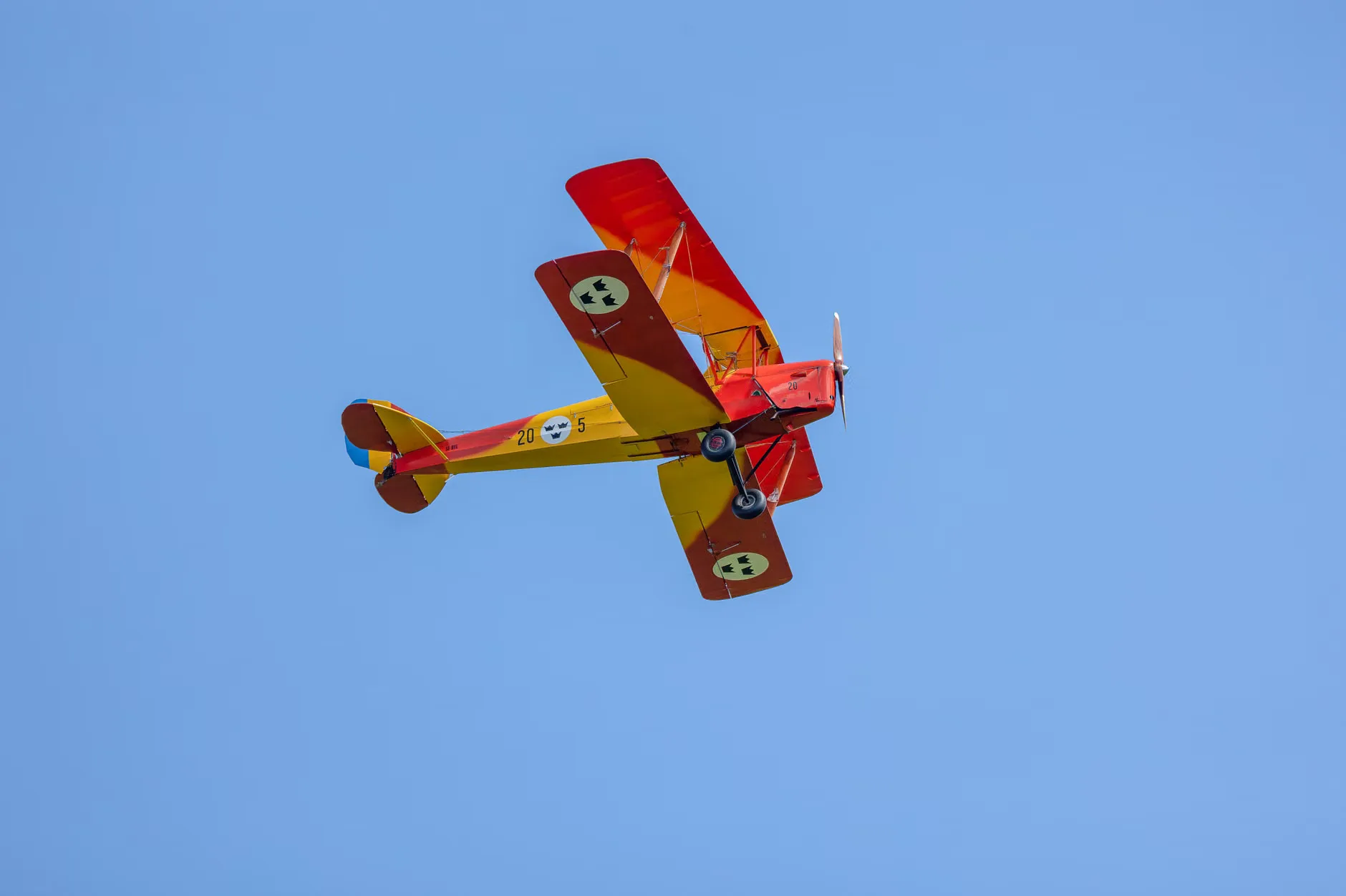 SW Model Flyers Albemarle Flying Day at Albemarle Barracks