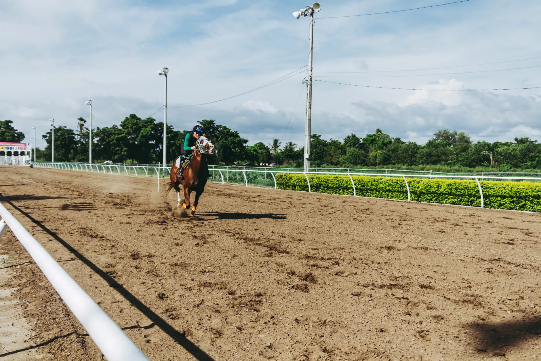 Autumn Afternoon Racing - Uttoxeter Racecourse at Uttoxeter Racecourse