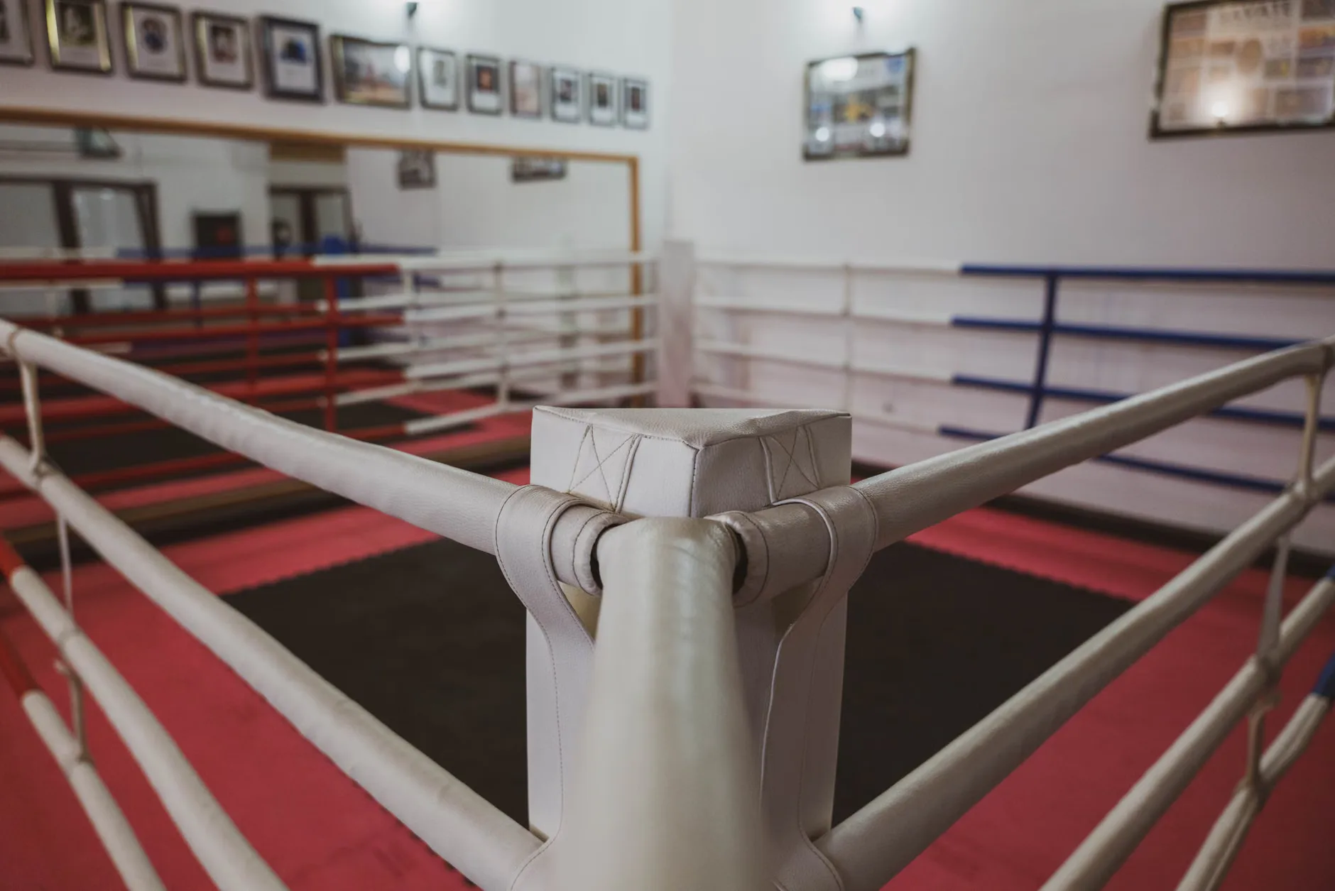 Matt McHale vs Conor Quinn: Commonwealth Title at Lagoon Leisure Centre