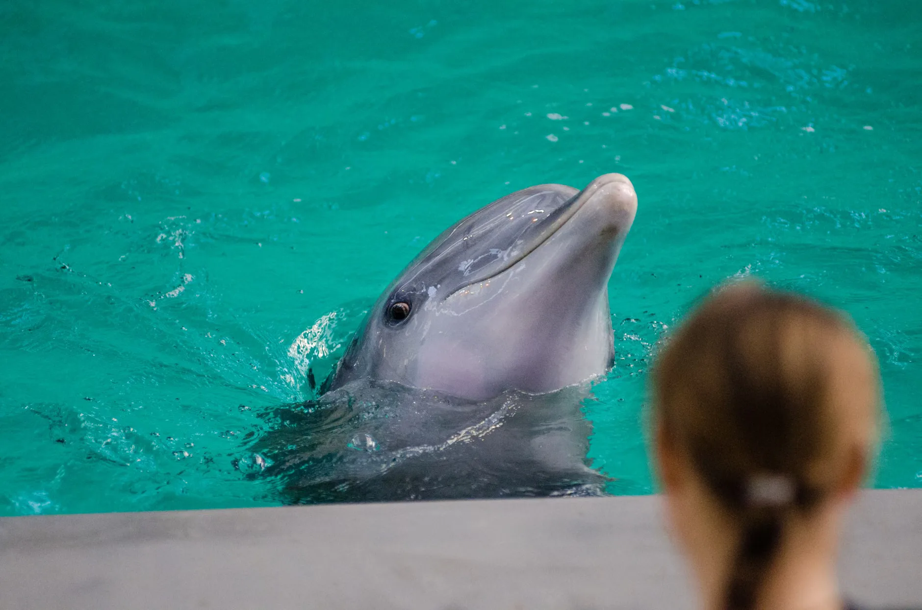 New Parent Socials at Highland Wildlife Park at RZSS Highland Wildlife Park