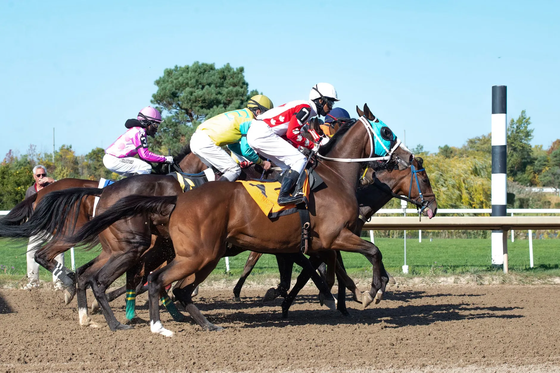 Autumn Afternoon Racing - Uttoxeter Racecourse at Uttoxeter Racecourse