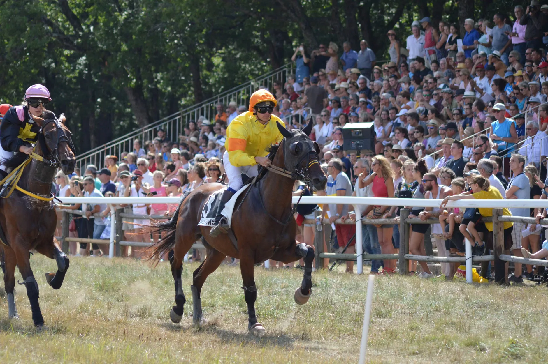 Summer Afternoon Racing NEW - Lingfield Park Racecourse at Lingfield Park Racecourse