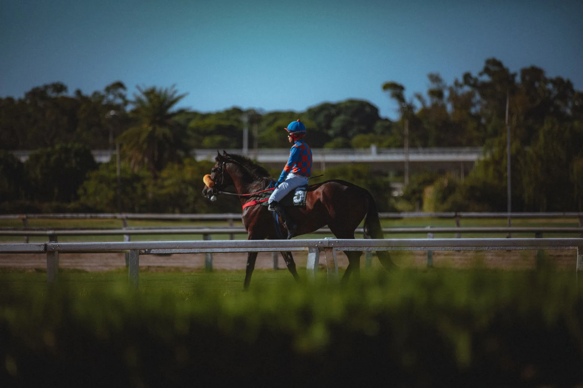 Summer Evening Racing - Newcastle Racecourse at Newcastle Racecourse
