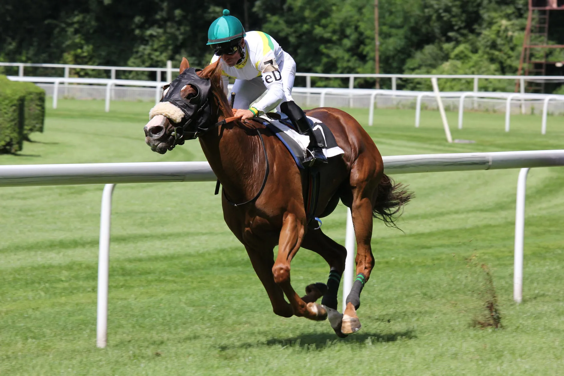 Boxing Day Racing at Aintree Racecourse