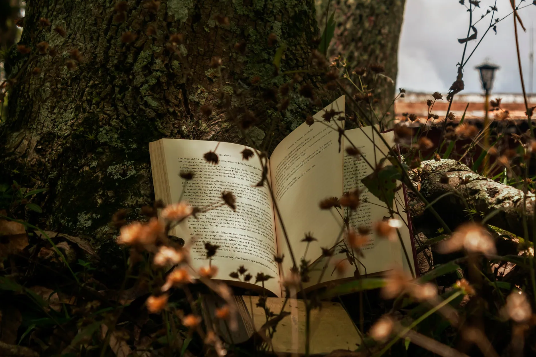 Glasgow International Book Festival