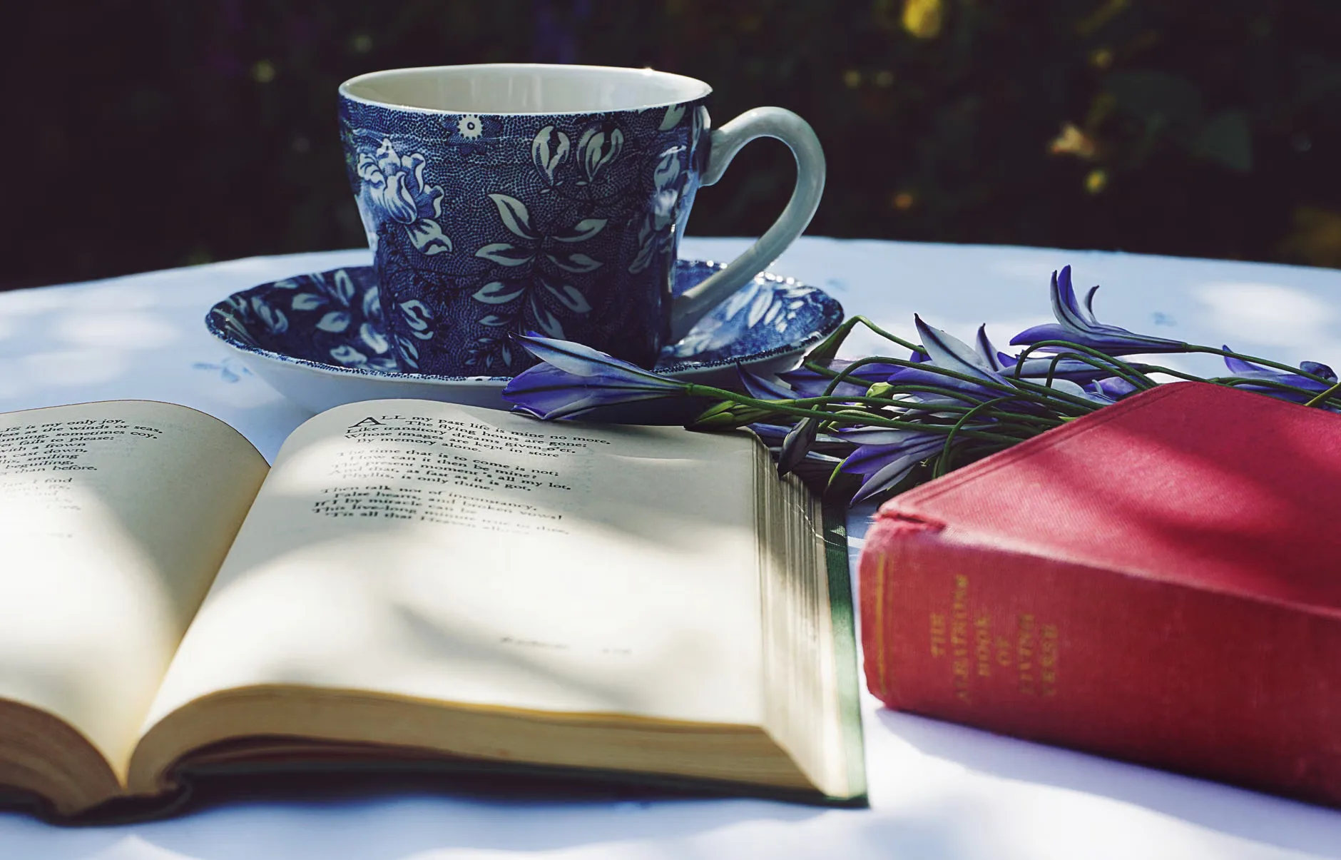 One of Us Is Guilty: An Evening with Steve Cavanagh - Cardiff at Waterstones