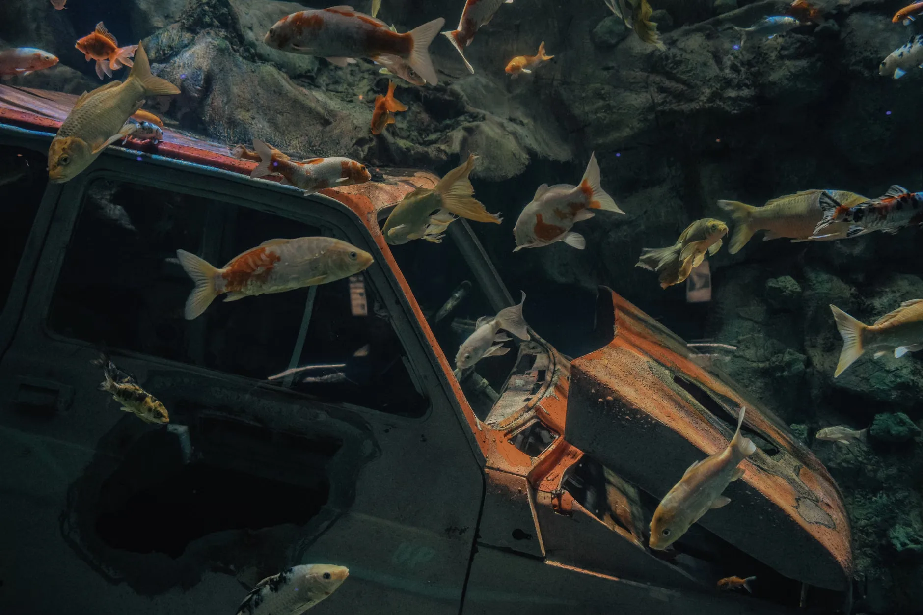 Sea Life Birmingham + Legoland Discovery Centre Birmingham at Sea Life