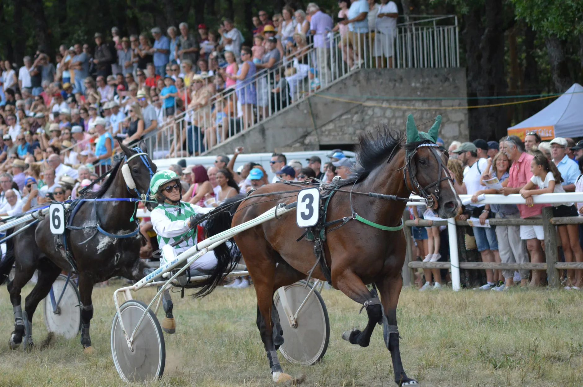 Ladies Day - Ffos Las Racecourse at Ffos Las Racecourse