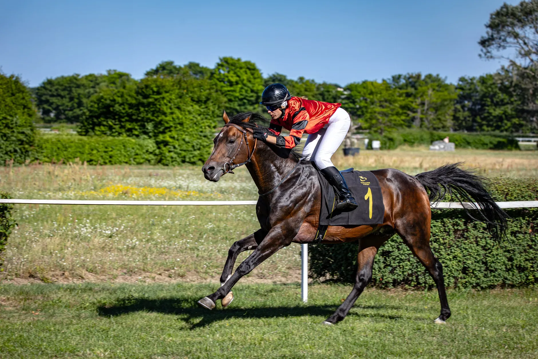 Seasonal Floodlit Racing - Newcastle Racecourse at Newcastle Racecourse