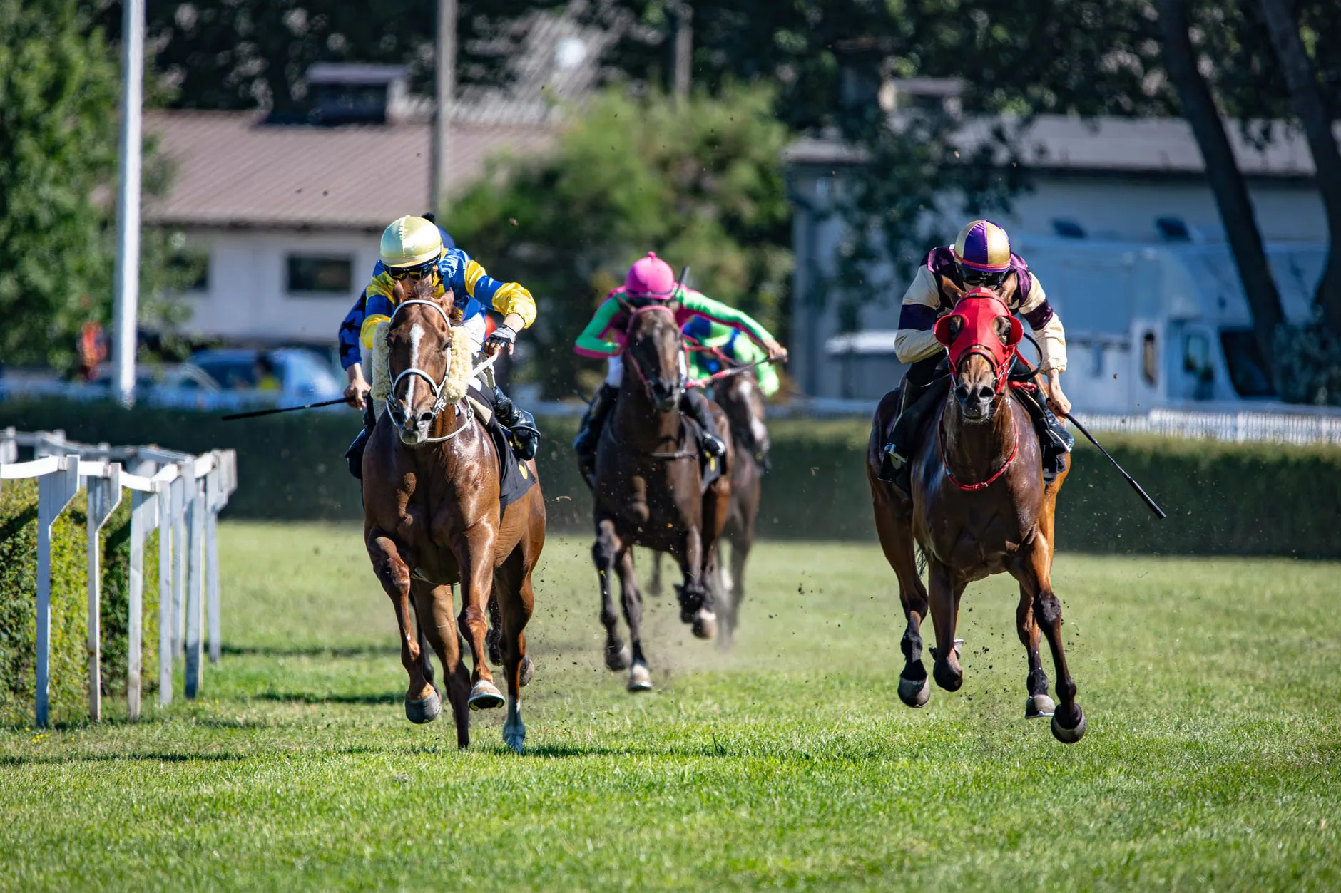 Winter Hill Stakes Afternoon Racing - Royal Windsor Racecourse at Royal Windsor Racecourse