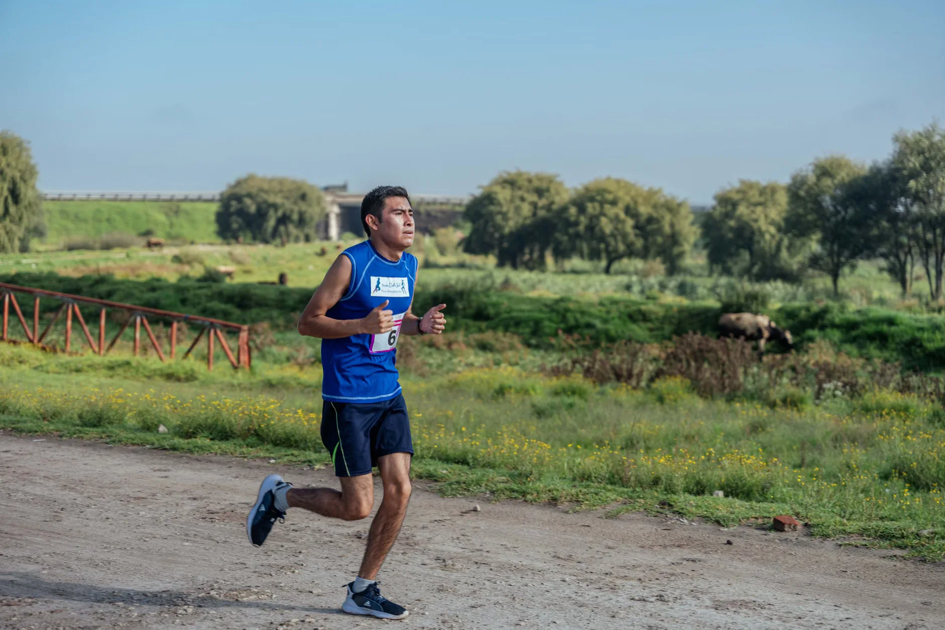 Romsey 5 Mile at Broadlands Estate